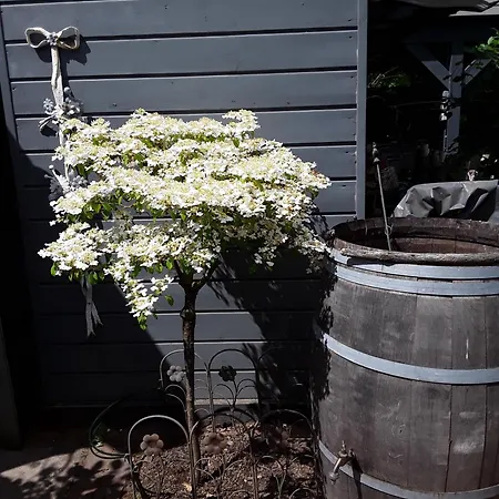 Vakantiehuis Olde Koehlhus Salzhausen