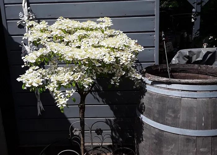 度假居 Olde Koehlhus 萨尔茨豪森